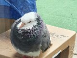 20201001_133131.jpg