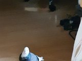20201001_162124.jpg