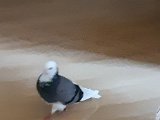 20201001_162126.jpg