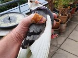 20201001_163213.jpg