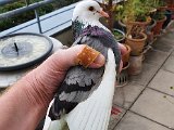20201001_163219.jpg