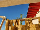 20201004_174315.jpg