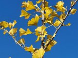 20201028_130850.jpg