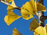 20201028_130900.jpg