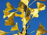 20201028_130920.jpg