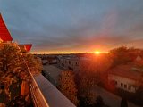 20201031_162529.jpg