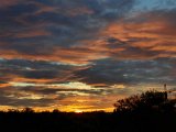 20201102_163147.jpg