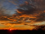 20201122_155936.jpg