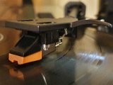 20201125_202251.jpg