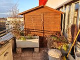 20201130_151734.jpg