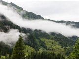 IMG_0448.jpg