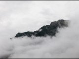 IMG_0506.jpg