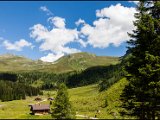 IMG_0574.jpg