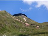 IMG_0599.jpg