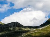IMG_0606.jpg
