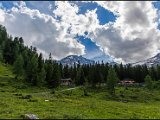 IMG_0625.jpg