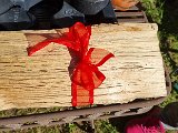 20210508_172522.jpg