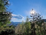 20210508_174310.jpg