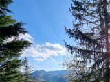 20210508_181454.jpg
