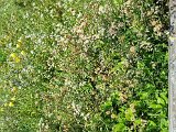 20210904_104407.jpg