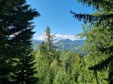 20210905_103723.jpg