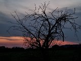 20210911_193656.jpg