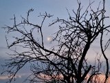 20210911_193721.jpg