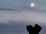 20210911_194527.jpg
