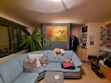 20211008_191659.jpg