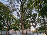 20211009_Lovac