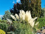 20211016_140119.jpg