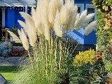 20211016_140416.jpg