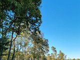 20211016_161448(0).jpg