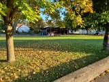 20211016_165941.jpg