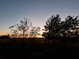 20211016_182806(0).jpg