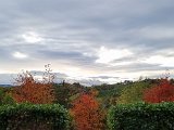 20211021_165211.jpg
