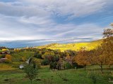 20211021_172147(0).jpg