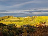 20211021_172225(0).jpg
