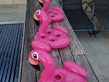 20211021_181726.jpg