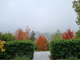 20211022_091438.jpg