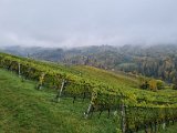 20211022_100429.jpg