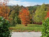 20211023_134125.jpg