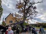 20211023_154956.jpg