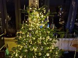20211224_023550(0).jpg