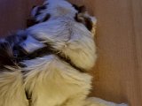20211126_235838.jpg