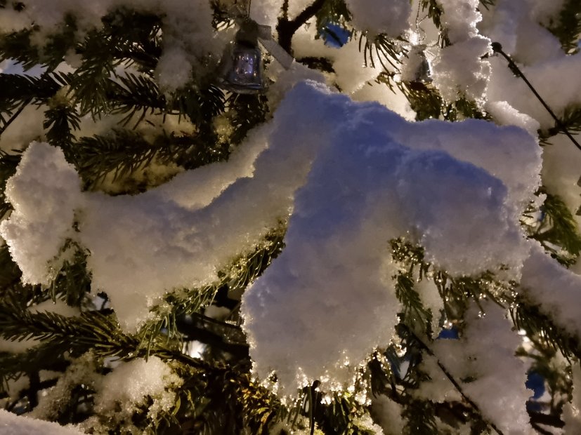 20211209_065730(0)