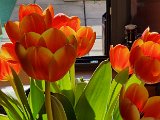 20210425_174242.jpg