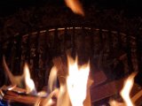 20210427_224140.jpg