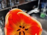 20210428_095905.jpg