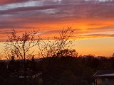20210505_201423.jpg